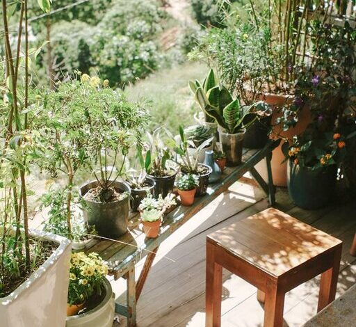 Post: Tips for creating a relaxing home garden space for beginners