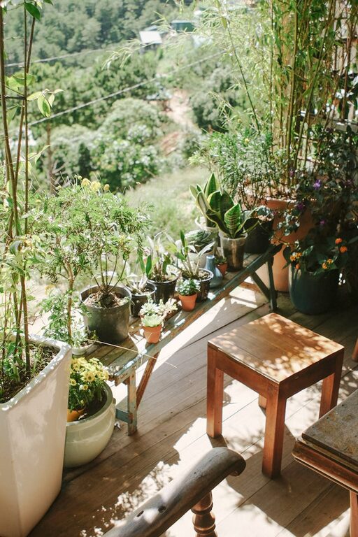 Post: Tips for creating a relaxing home garden space for beginners