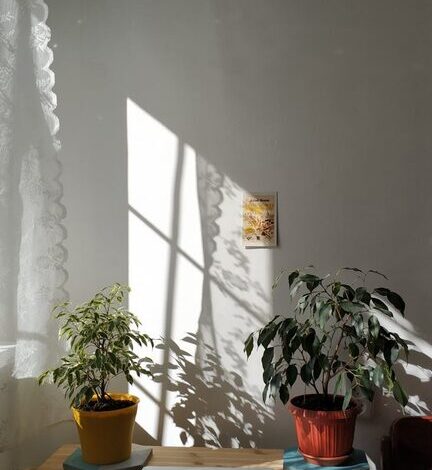Tips for Creating a Relaxing Home Office Environment