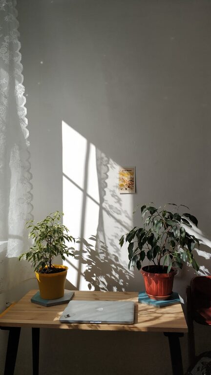 Tips for Creating a Relaxing Home Office Environment