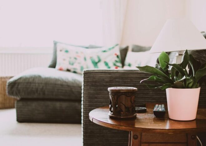 Tips for Creating a Cosy and Inviting Living Space on a Budget