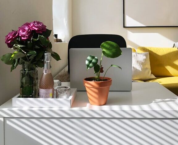 Tips for Creating a Productive Home Office Environment